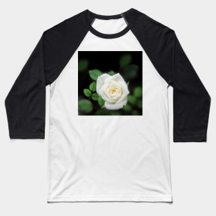 Shabby chic Pale Pink Rose Flower Baseball T-Shirt